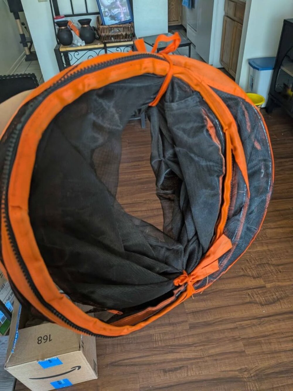 Catio - Picture 7 of 8